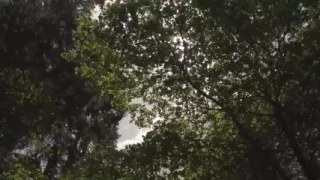 Neighborhood Aunty Part- 1