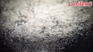 This BBC needs a tiny little hole pussy to fuck