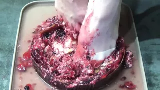 I Pee in Your Cake and Trample It with My Feet