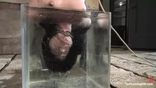 The Training of Julie Night, Day Four