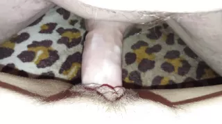 Sex in Multiple Positions