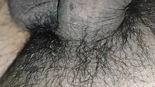 Desi Bulla mood me hai