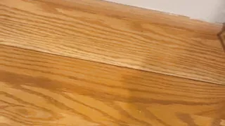 Aj180 Presents: Petite Giclee Pt. 18