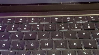 Monarch-bdsm Baronet 13.666