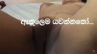 It's a wet night with neibhours house