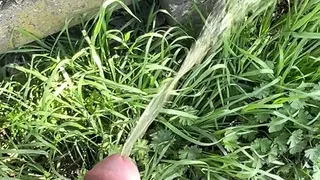 Compilation of Me Taking Long Naughty Piss in Park