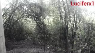 BBC in a forest sides