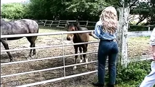 Domina weird domination