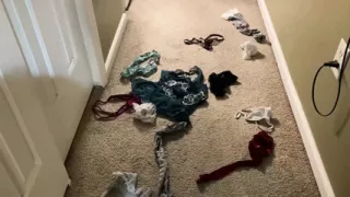 Her panty drawer