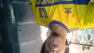 Slide Your Hands Over My Chest