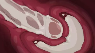 First Pussy Creampie for my Perv Stepsis - Uncensored Hentai Sex Anime