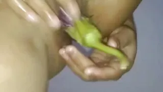 Fun with Brinjal