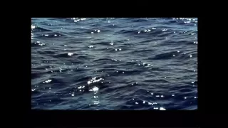 Bellezze in Cerca di Orgasmo - Episode 5