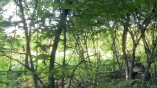 Missy cross dresser sissy in public strip into and out of panties in the woods. Large dick