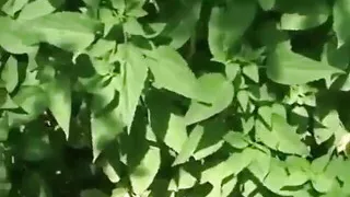 Luna Needs More Than Her Car Fixed