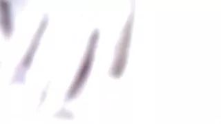 Girlfriend Pees with Spread Pussy in Close up