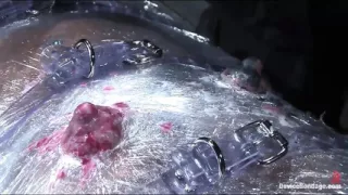 Sticky Hot Wrap Trap