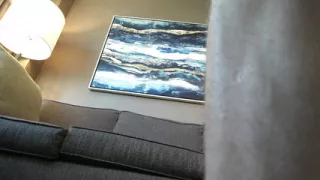Fucking Hefftjohnson on the Couch and by Window Main View