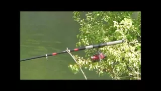 Beautiful Young Sluts Fucked by Mature Endowed Husbands in Front of Their Wives