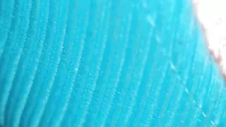 New Nepali video.Jhari manaudai xu hai guys .