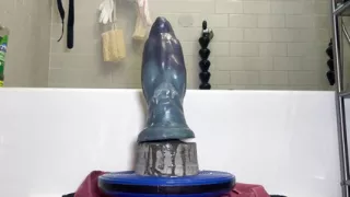 Geting an Insane Stretch on My Xxl Survey of the Cosmos Dildo