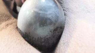 My Slut Wife Using Pussy Pump to Masturbate Herself, Karina and Lucas