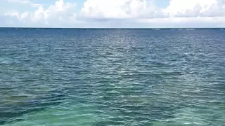 We Had an Adventure Into the High Seas