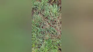 Just a Litte Bit Piss Cum Mix Enjoy