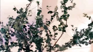 Mya Minx Demonstrates Squirting While Being Assfucked