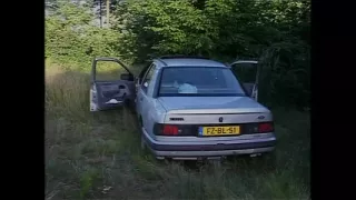 Busty MILF Gets Fucked on the Hood of the Car by a Big Cock That Cums in Her Mouth