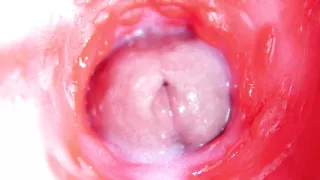 Extreme close up of a big cock in a sloppy wet sweet hole!