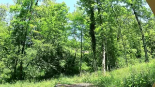 I move my pretty ass and show you my sexiest panties in the middle of the forest