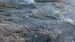 She Sucks My Cock in Public on the Beach