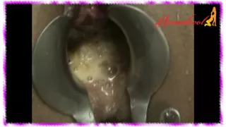 Annadevot - the slave has to be submissive