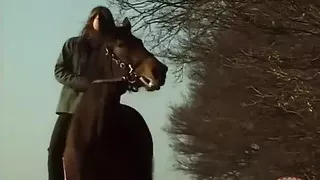 Taboo Film Classic: My Pussy Talks to You (aw)