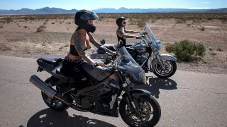 Bloodthirsty Biker Babes: Part 3 With Johnny Sins, Anna Bell Peaks, Felicity Feline - Brazzers
