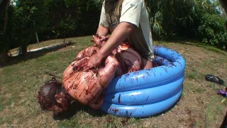 Bound & Fucked In Plum Jam Pt3 - MaryBitch