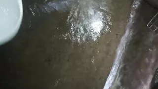 It's hot, girls show your waist, I love you very much.