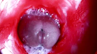 Hot Wet Sexy Hole And Sloppy Big Cock