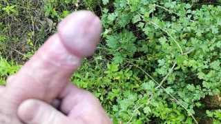 horny jerked off on the side of the road