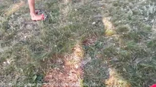 Showed a dick to the drivers of a random twink athlete with a big dick fucked on the highway.