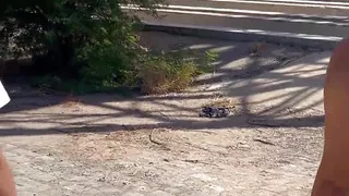 My Girlfriend Moaning on My Dick Nonstop