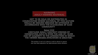 Brünettes sexy Girl beim POV Blasen und Reiten gefilmt