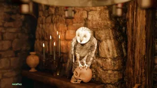 Lust Academy 3 - Part 291 - a Ritual of Love by Misskitty2k