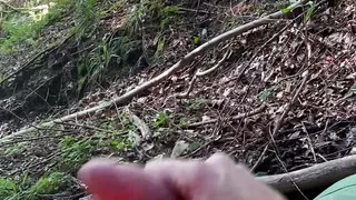 Wixxing in the forest