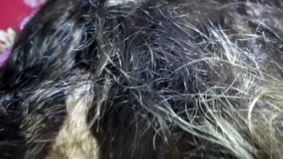 I fucked the big ass of the colored haired stepmother, Sima Sarkar.