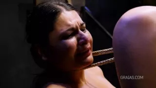 The complaint - part 2