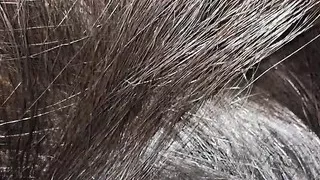 First time madhu bhabhi ji sucking her stepbrothers cock