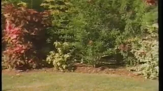 Electric Blue Special - Marie & Linzi's Fantasies