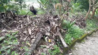 Outdoor sex we go to a viewpoint and we feel like having sex